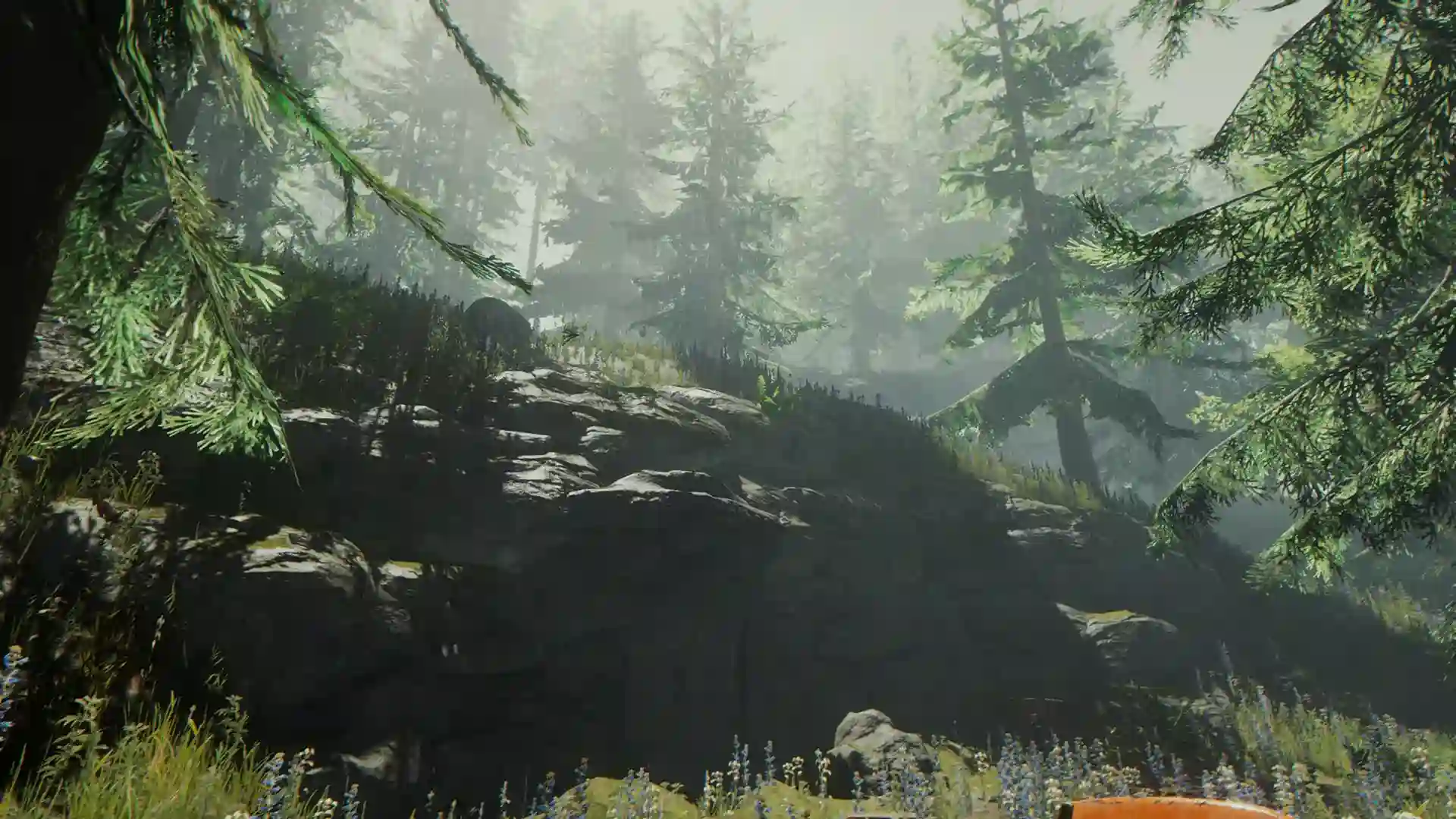 the_forest Background Image