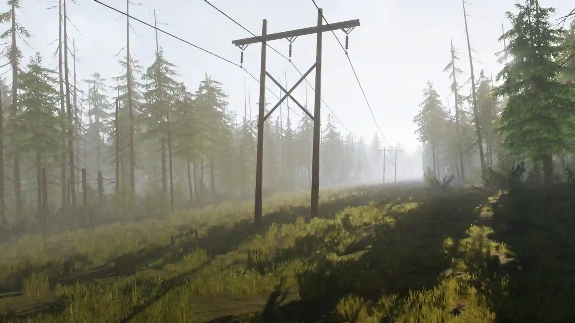 vein Background Image