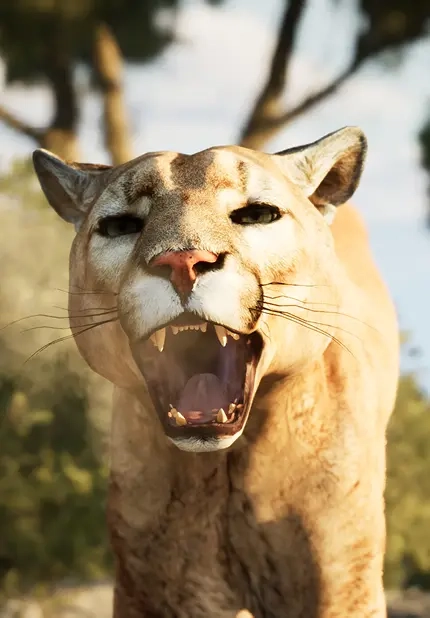 The Cenozoic Era card image