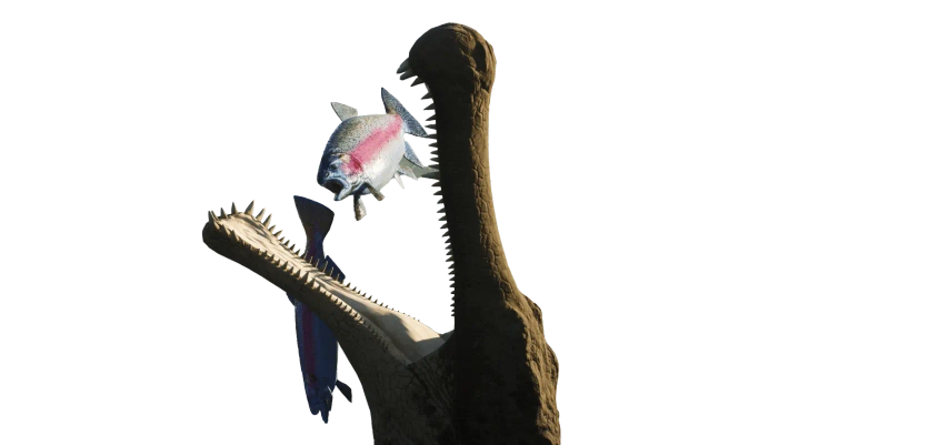 An image of a The Cenozoic Era