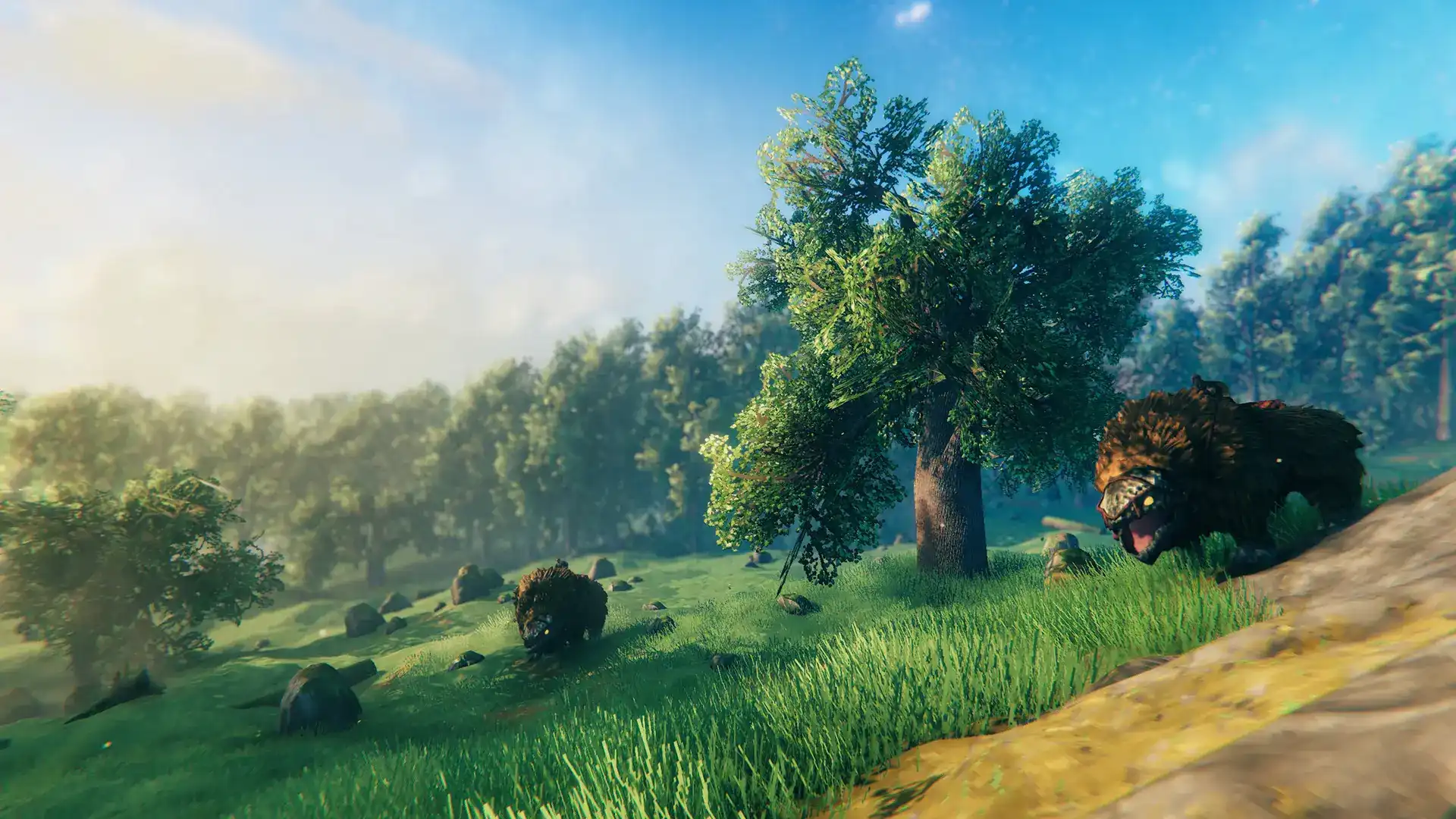 valheim Background Image