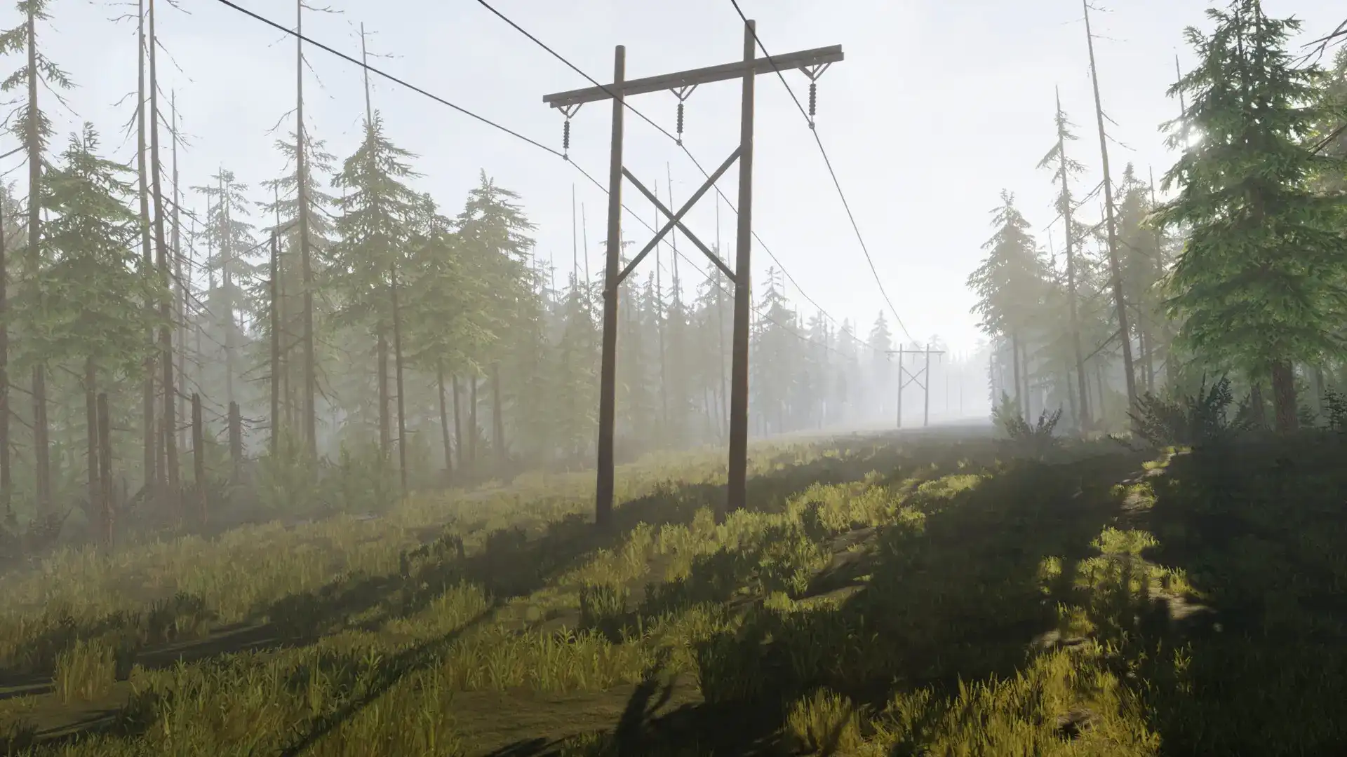 vein Background Image