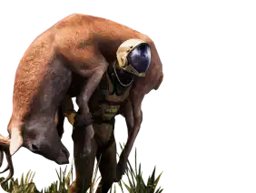 icarus CTA Image