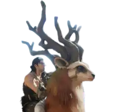 Llamada a la acción de of_peaks_and_tides