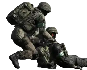 wardogs cta