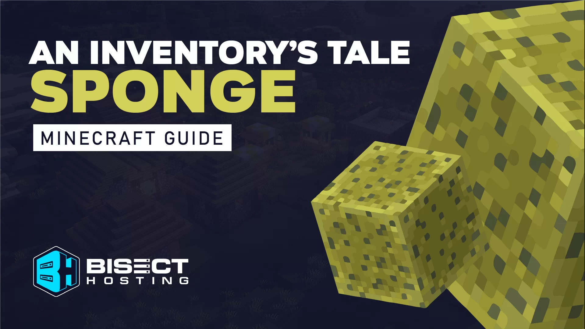 An Inventory's Tale: Sponge
