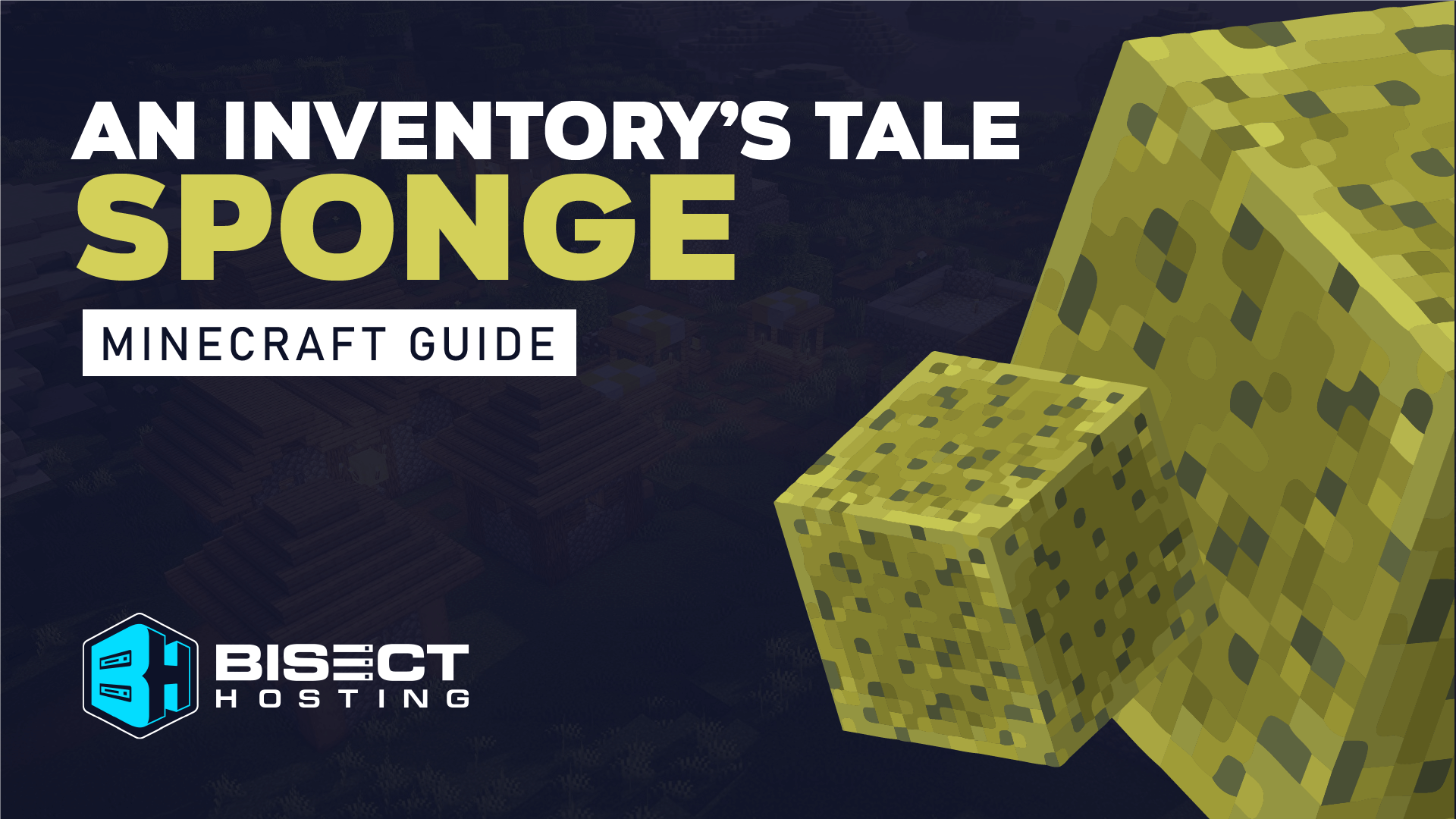 An Inventory’s Tale: Sponge