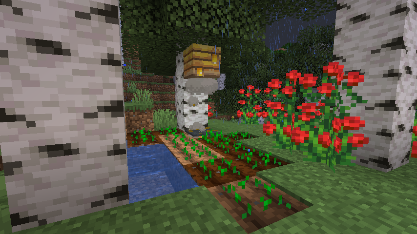 Bee's Nest over Wheat Farm