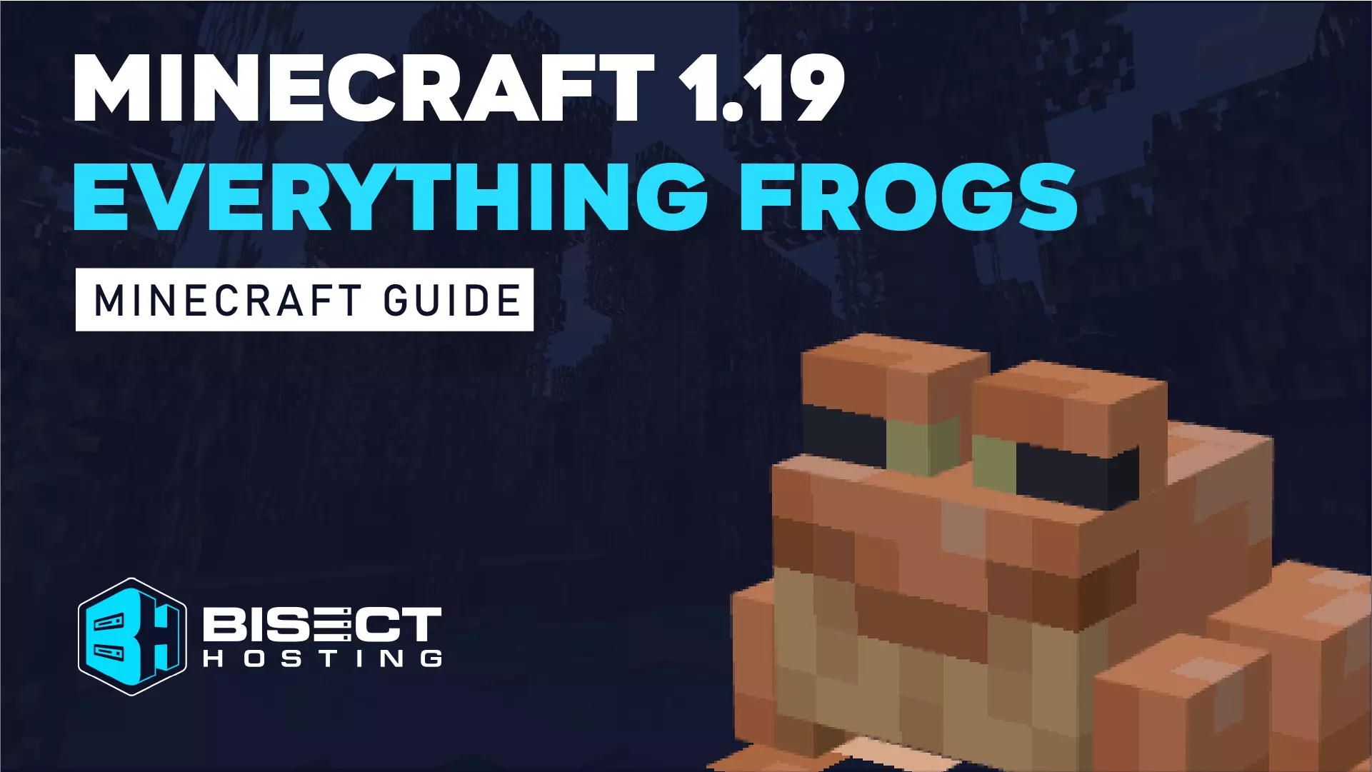 Minecraft Frogs – All Known Details, Spawn Locations, & More
