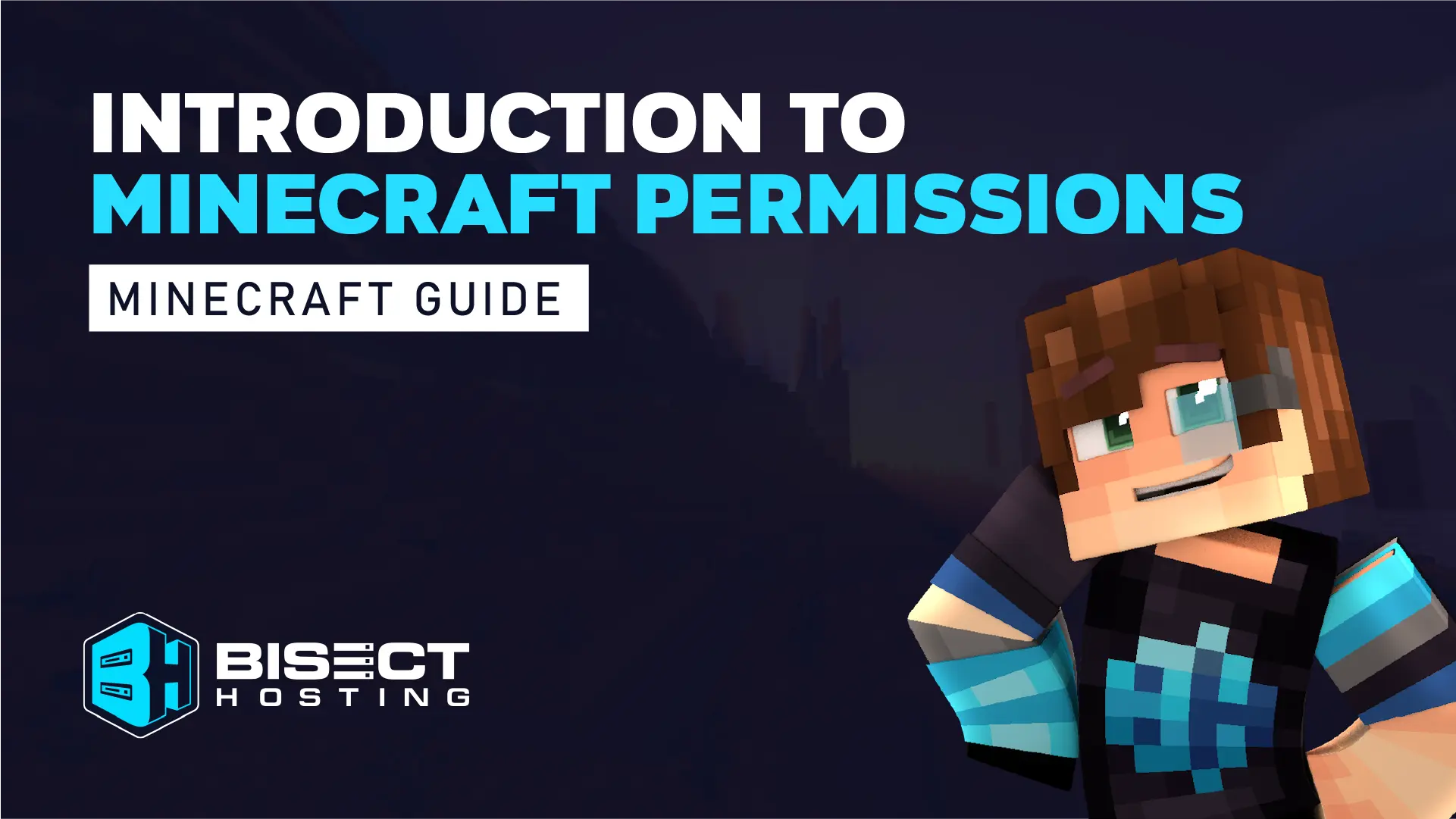 Minecraft Permissions Guide