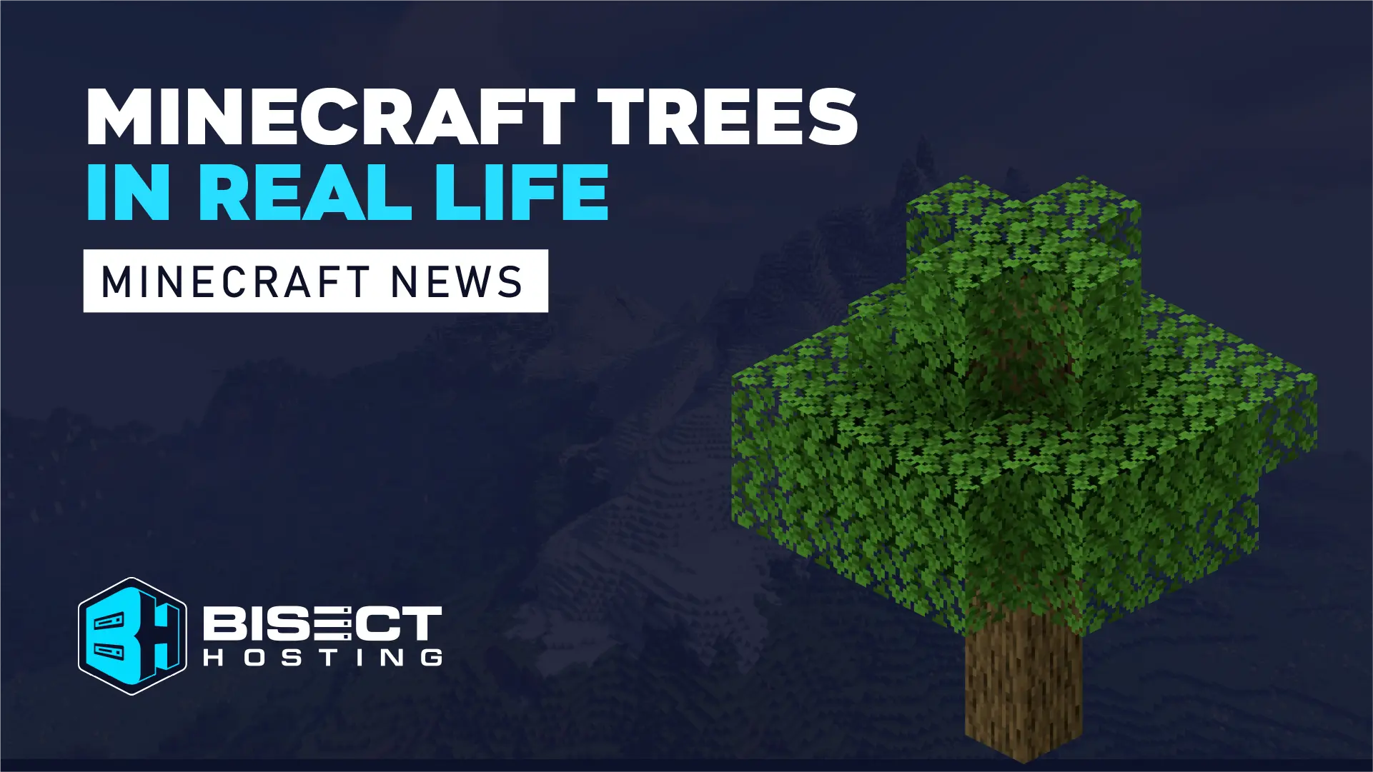Minecraft Trees in Real Life