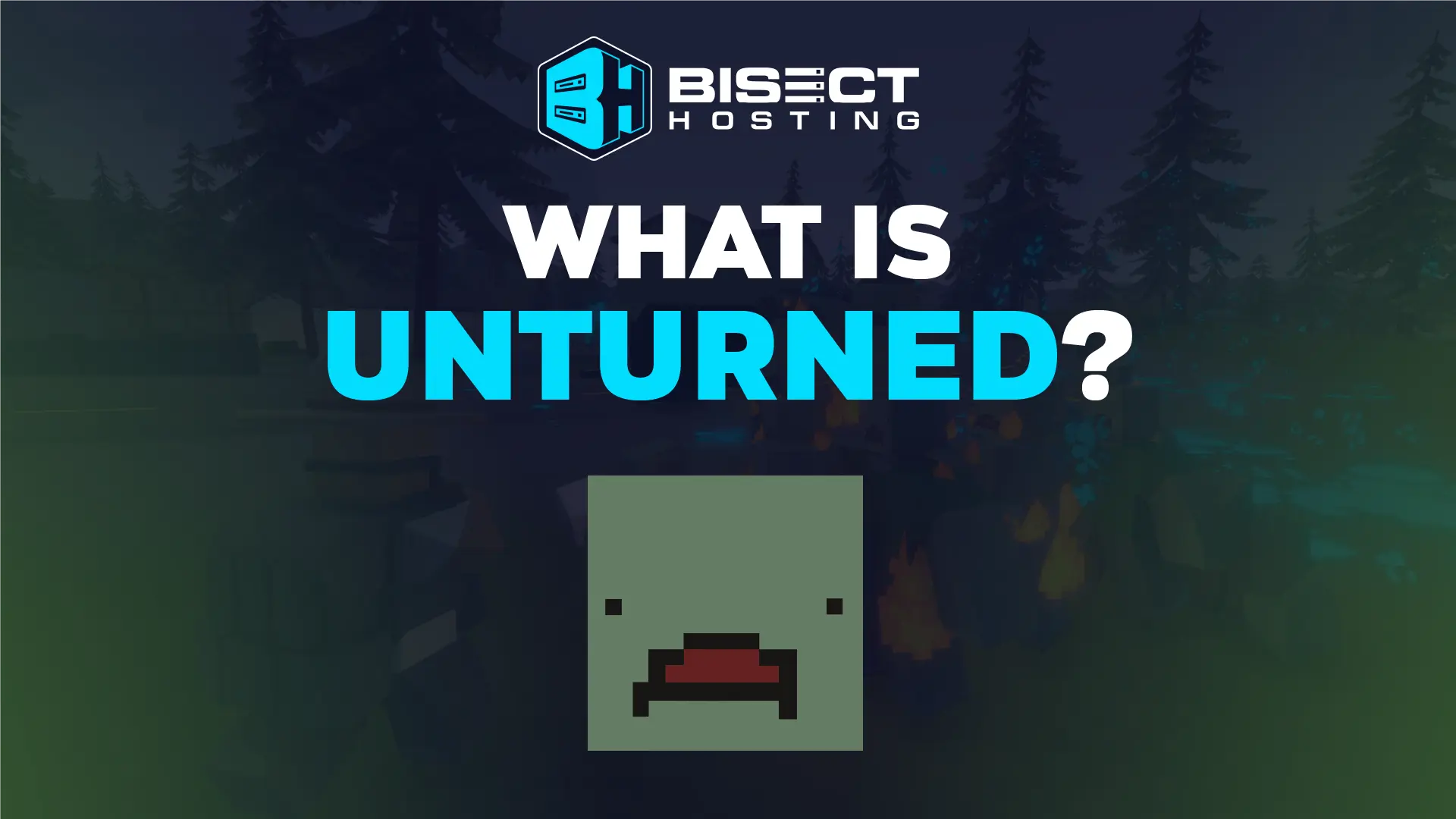 What is Unturned?