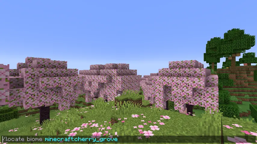 Minecraft Locate Command Screenshot