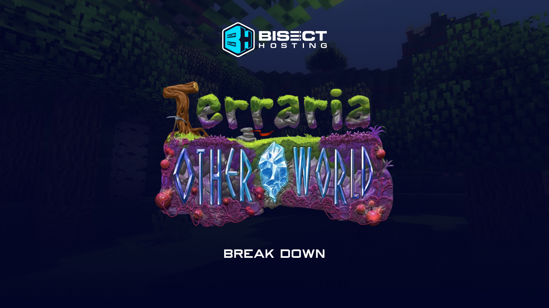 What is Terraria: Otherworld?
