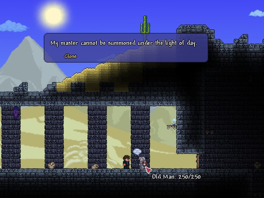 Terraria Other NPC