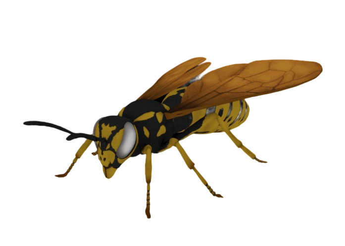 Smalland Wasp Queen