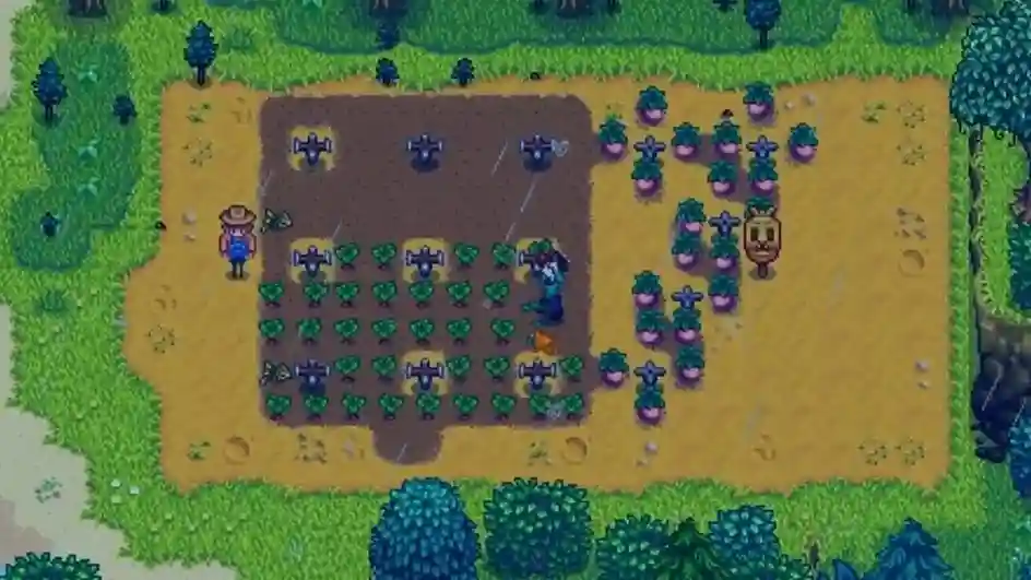 Stardew Valley Summer Crops