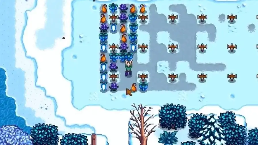 Stardew Valley Winter Crops