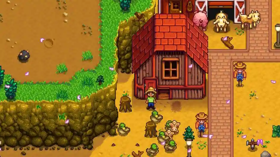 Stardew Valley Coop Upgrades