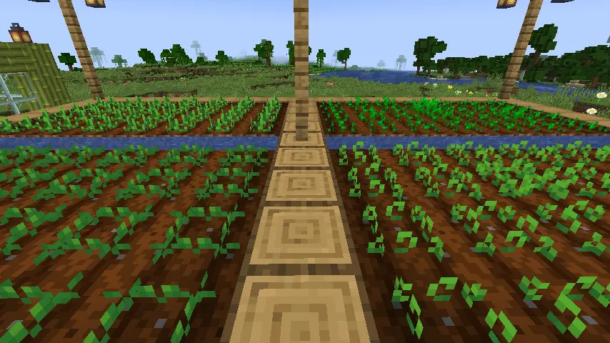 Minecraft Farmland Screenshot