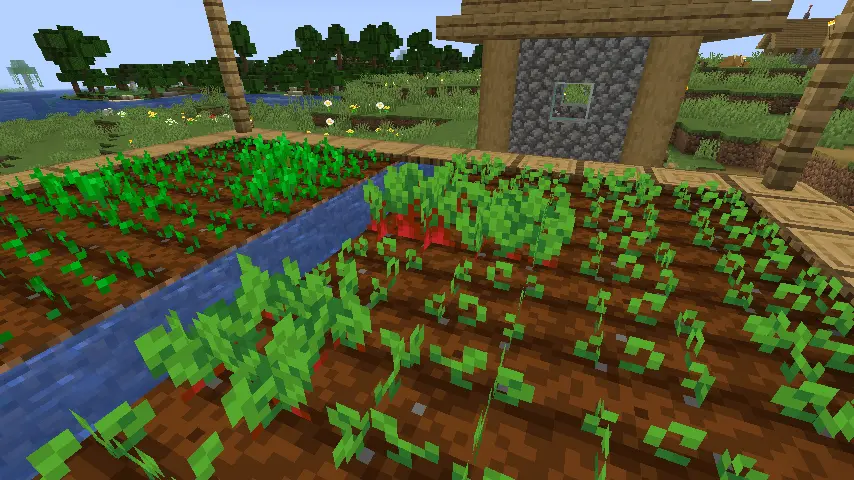 Fully Grown Minecraft Beetroot Screenshot