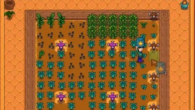 Stardew Valley Winter Money