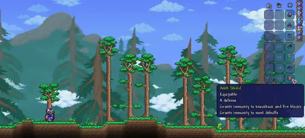 How to Get the Ankh Shield in Terraria