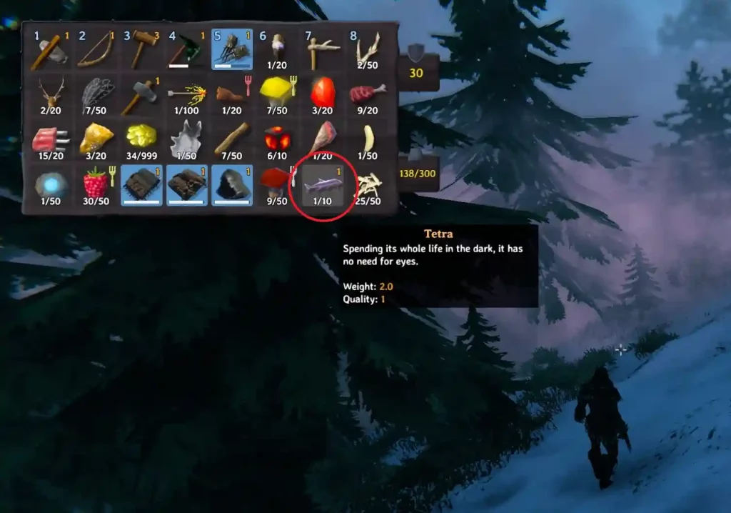 Valheim Tetra Fish