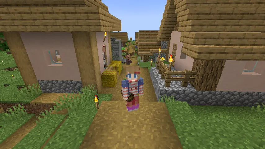 Minecraft Village Screenshot