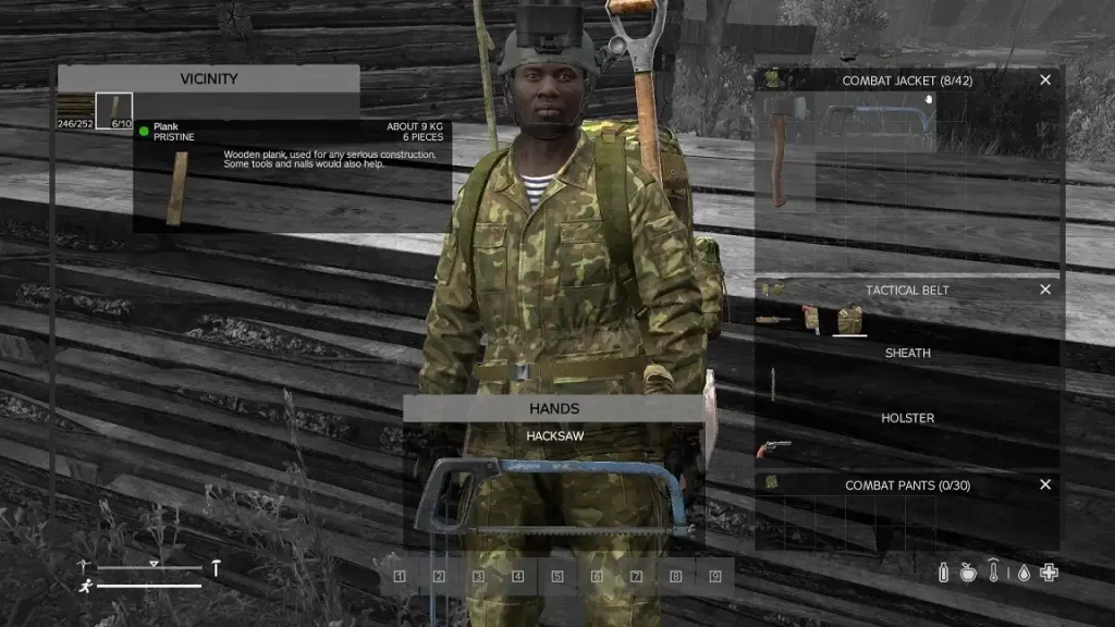 DayZ Planks