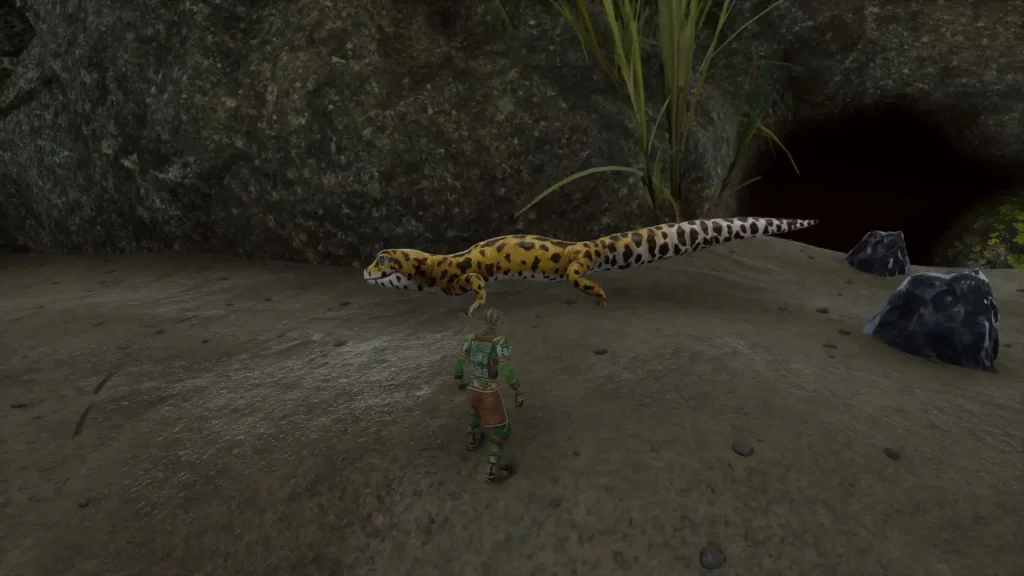Smalland Gecko