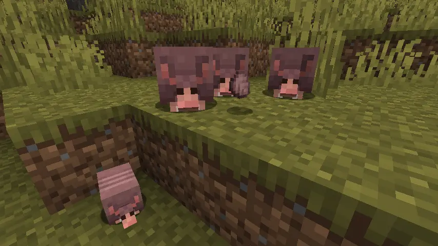 Minecraft 1.21 Armadillo Guide: Family of Armadillos Screenshot