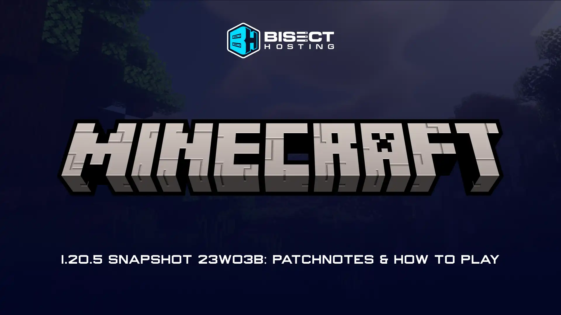 Minecraft 1.20.5 Snapshot 23W03B: Patch Notes & How to Play