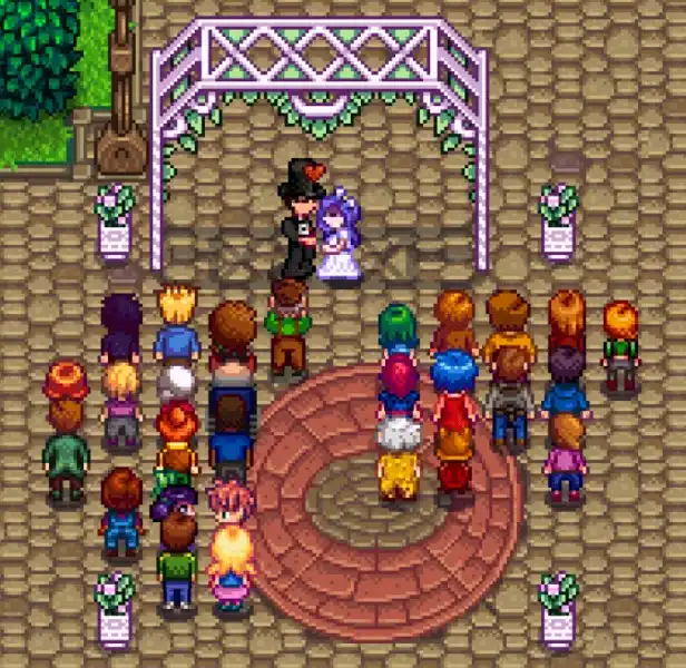 Stardew Valley 1.6 Marriage