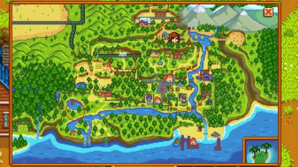 Stardew Valley Meowmere Locations