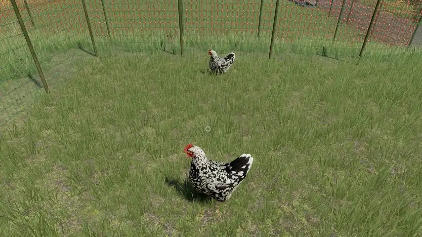 Farming Simulator 22 Chickens