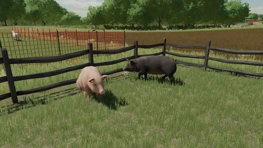 Farming Simulator 22 Pigs