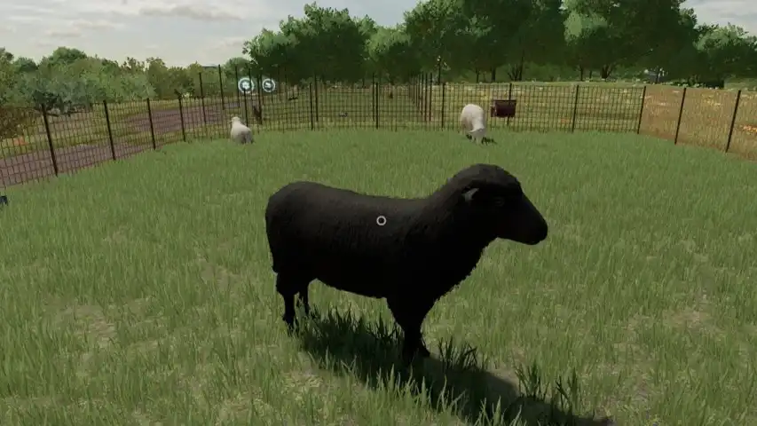 Farming Simulator 22 Sheep
