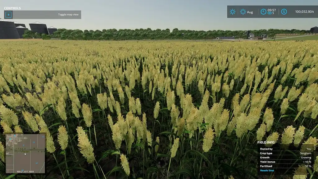 Farming Simulator 22 Sorghum