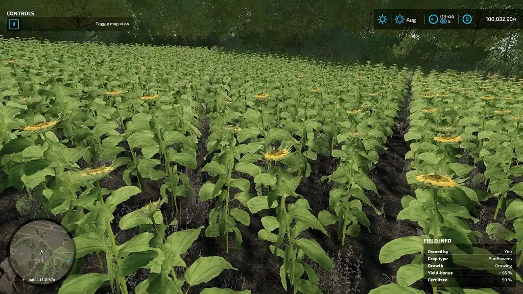Farming Simulator 22 Sunflowers