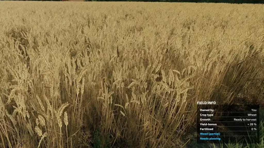 Farming Simulator 22 Wheat