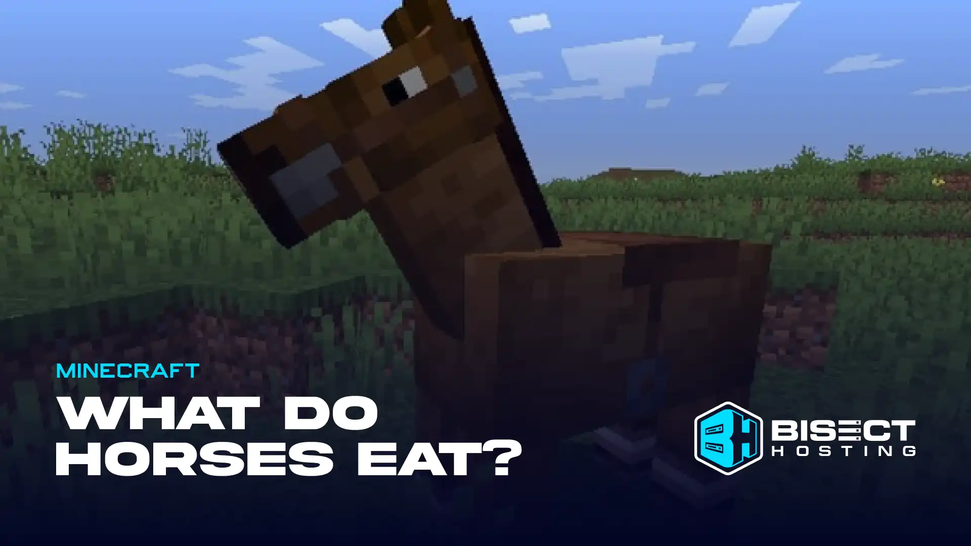 What Do Horses Eat in Minecraft?