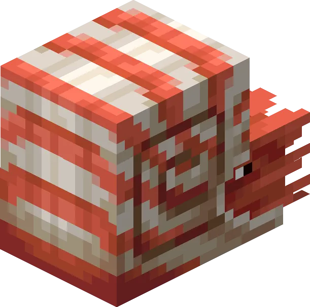 Minecraft Nautilus