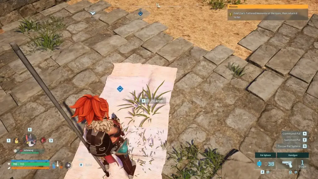 Palworld Zoe Tattered Memento
