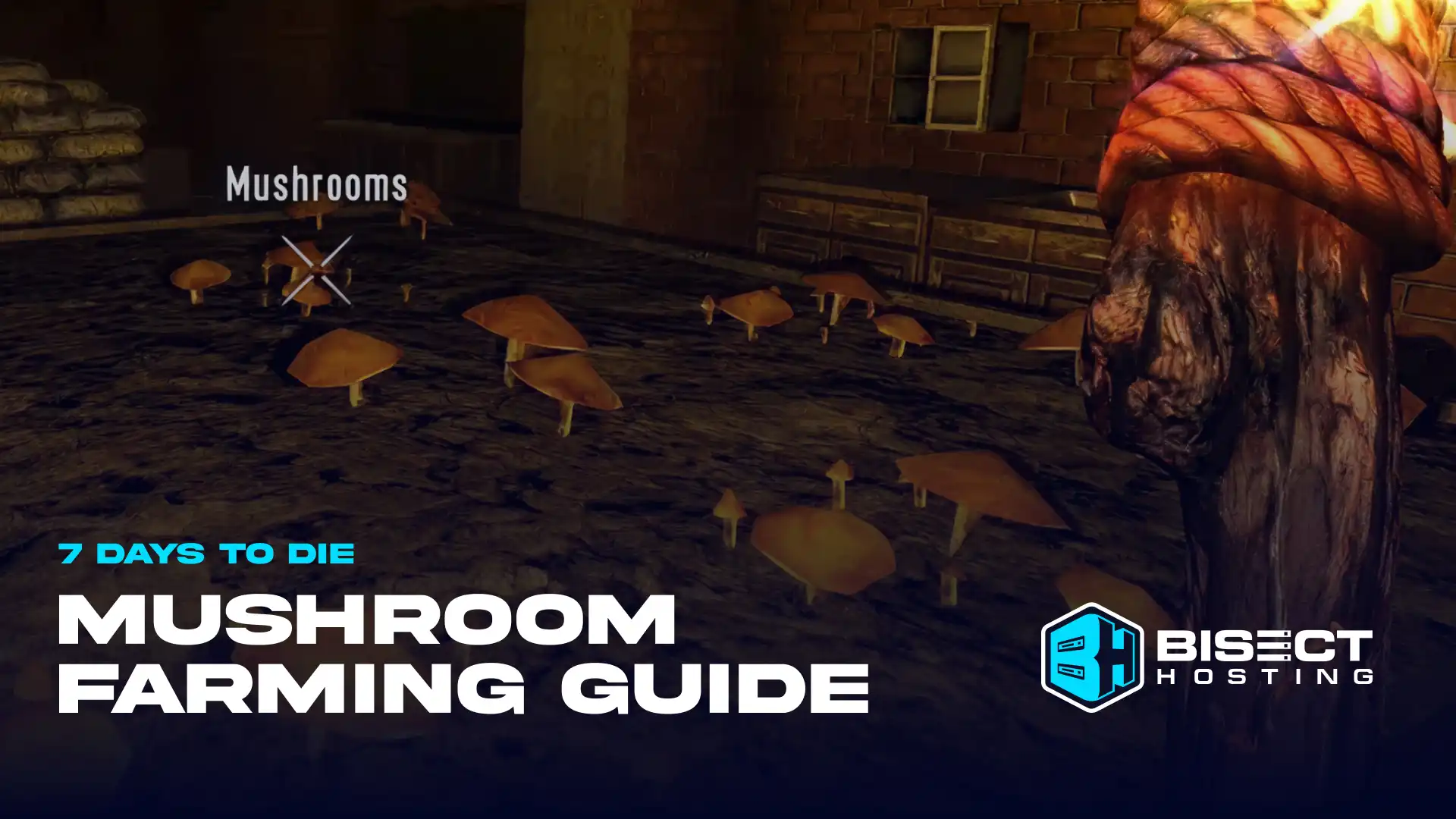 7 Days to Die Mushroom Farming Guide: How to Get, Crafting Recipes, & More