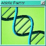 Abiotic Factor The Gardens