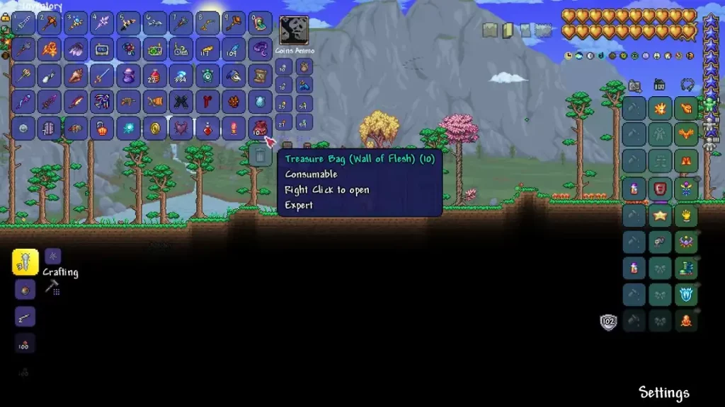 Terraria Wall of Flesh Treasure Bag