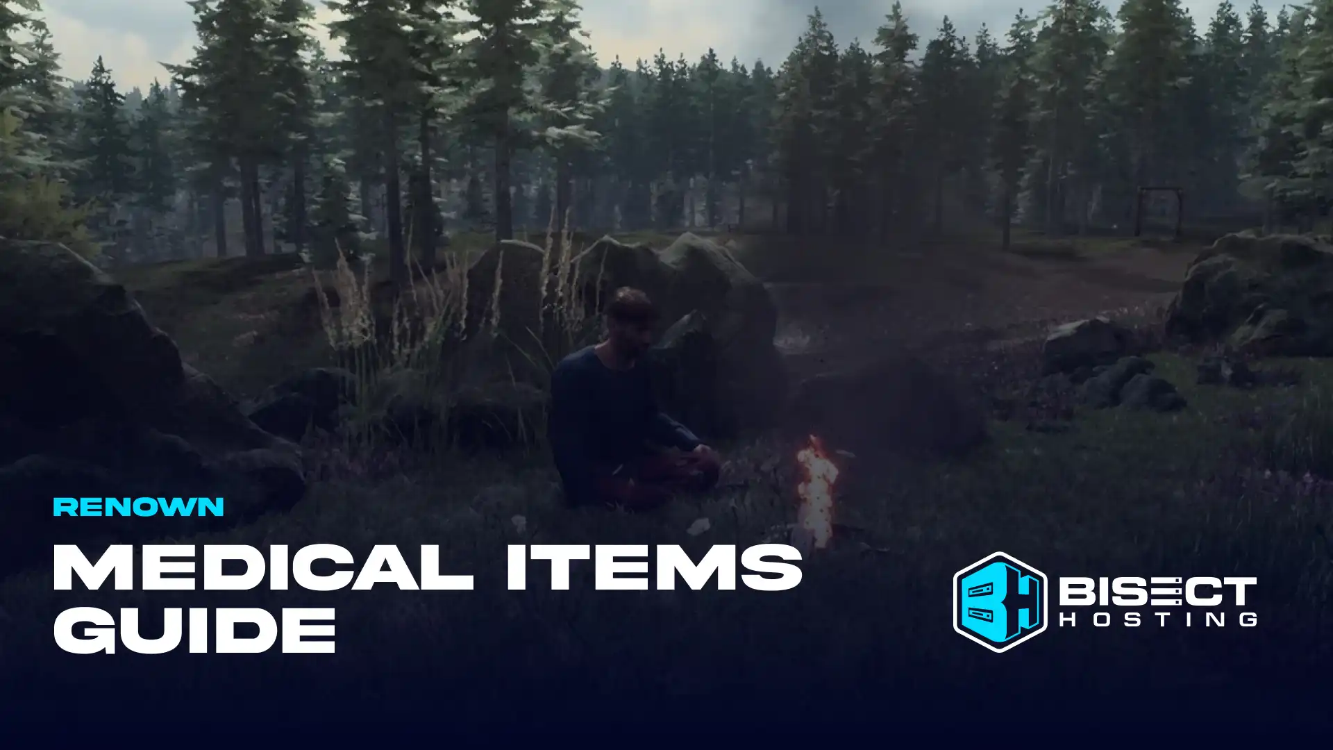 Renown Healing Items Guide: How to Craft Medicine, Effects, & more