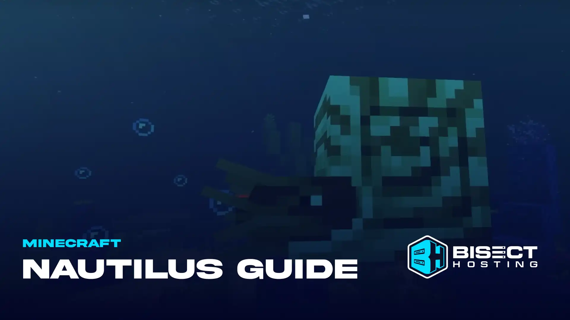 Minecraft Nautilus Mob Guide: Zombie Nautilus, Nautilus Taming, & More