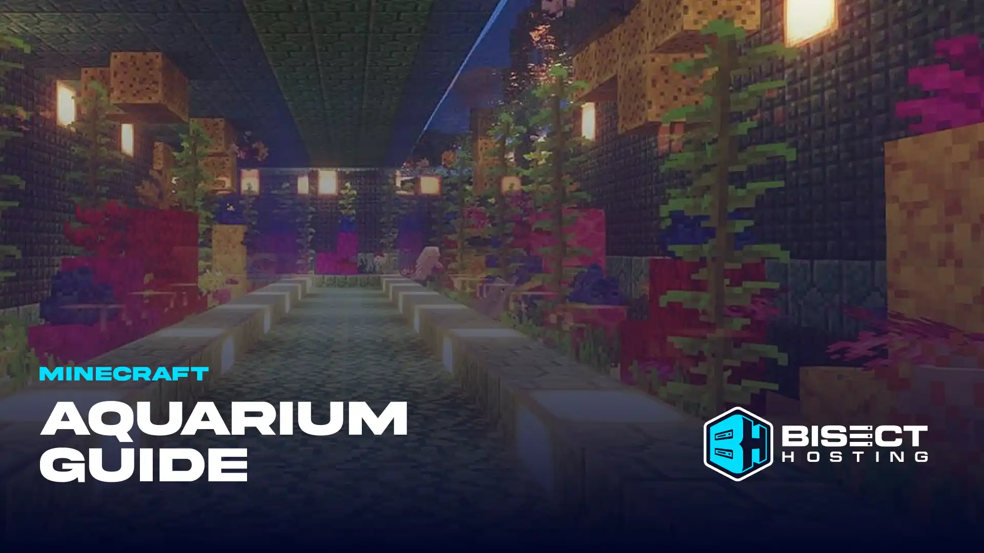 Minecraft Aquarium Guide: How to Capture Fish & Help Coral Survive in Fish Tank